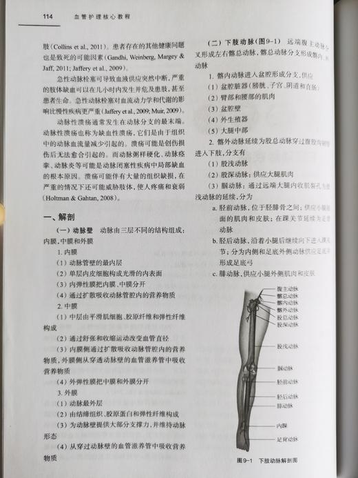 血管护理核心教程 商品图4