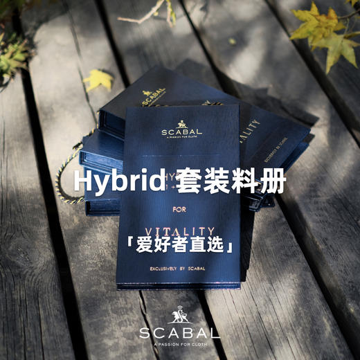 「爱好者直选26款」Scabal Hybrid super's130 全麻衬套装 商品图0