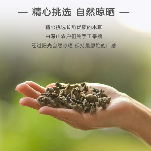 【秦岭野外生长干木耳 | 青川秋耳】秦岭大巴山深处自然生长 肉质鲜嫩口感顺滑 轻薄不压秤 约17倍泡发率 商品图2