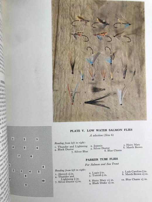 诺伊斯垂钓百科全书 数百幅插图 精装16开 商品图8