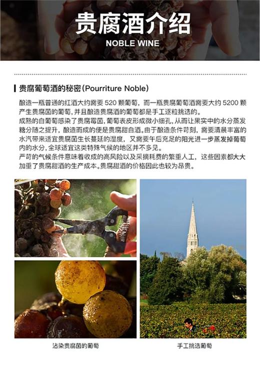 【中欧班列直供】匈牙利进口 托卡伊阿尔帕德大贵腐葡萄酒500ml/瓶  原装进口 商品图5