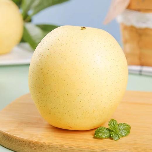 皇冠梨 480g-520g 商品图1