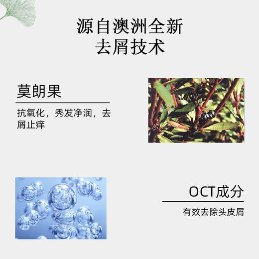 墨缔姿莫朗果小黄姜加宁桉袋鼠花去屑滋养控油洗发水护发素沐浴露【任选2件】 商品图2