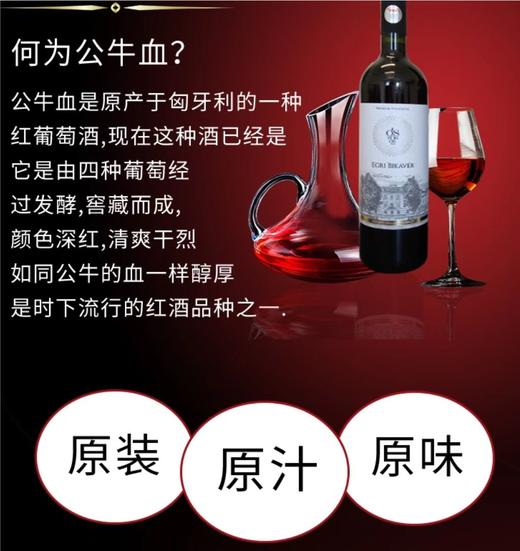 【中欧班列直供】匈牙利葡萄酒  阿尔帕德埃格尔优选公牛血葡萄酒750ml  原装进口 商品图2