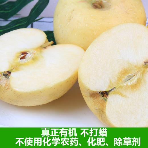 沣林有机黄金维纳斯苹果普通装4.8斤（80mm中果） 商品图2