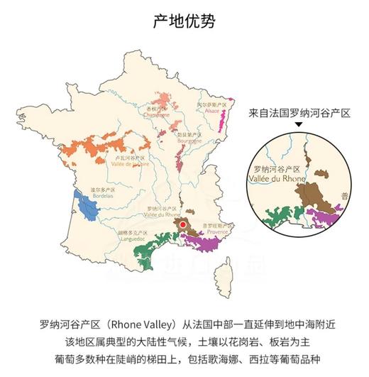 【中欧班列直供】法国芮贝特西南法定产区葡萄酒 750ml/瓶 原装进口 商品图5