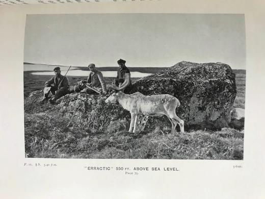 1904年 与俄国拉普兰德鸟类共处的三个夏天 68幅插图 漆布精装18开 商品图11