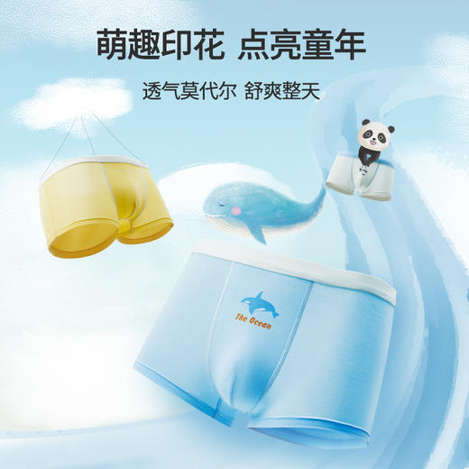 有棵树莫代尔男童内裤3条装E-C1001 商品图3