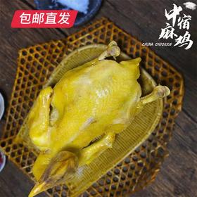 清远咸香鸡 850g/只（±50g） 【包邮直发】