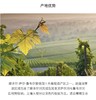 【中欧班列直供】德国葡萄酒 乐贝蒂半干型高泡白葡萄酒750ml/200ml/瓶 原装进口 商品缩略图5
