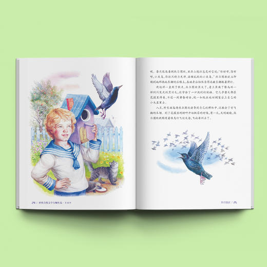 《大自然里的故事》：《原始针叶林里的鸟》《老树上的猫头鹰》《海边的森林猫》（共3册） 商品图4