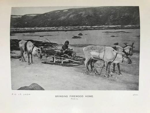 1904年 与俄国拉普兰德鸟类共处的三个夏天 68幅插图 漆布精装18开 商品图12