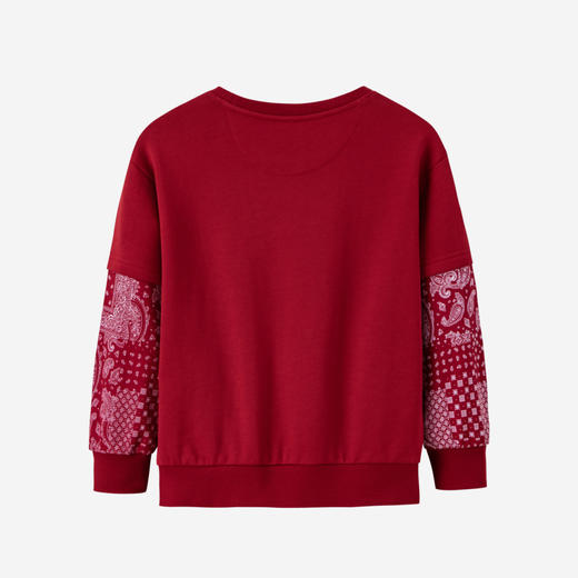 LEVIS 春 大童小童 卫衣 LVN-FW-H428 商品图1