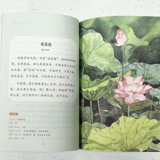 《古诗文中的科学》全4册，融合地理、生物、天文、地质、科学等多学科知识 商品图5