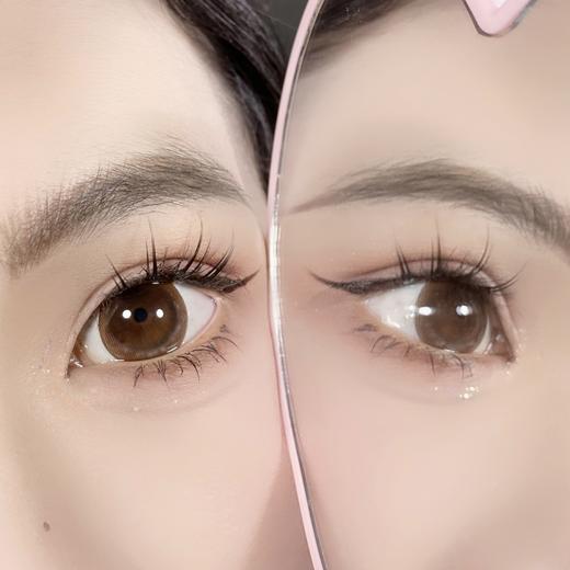 AgensColor大直径品牌-超大布朗尼 商品图3