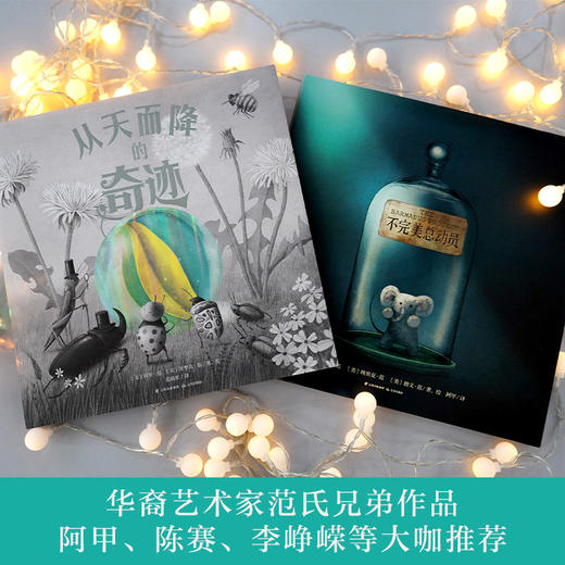 【3-8岁】《从天而降的奇迹+不完美总动员》2册套装   作者：范氏兄弟 商品图2