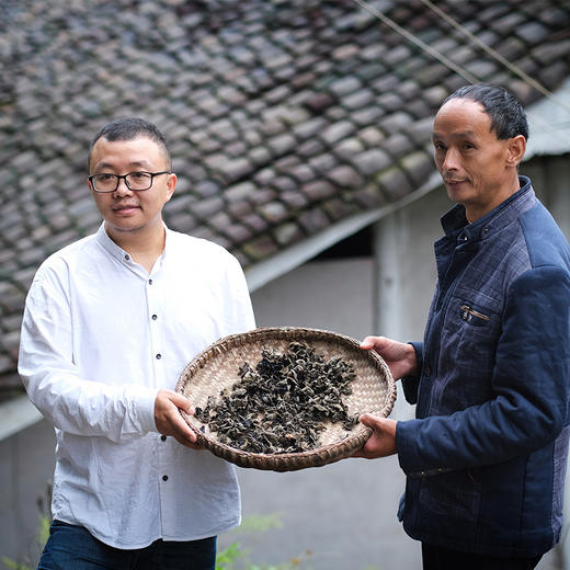 【秦岭野外生长干木耳 | 青川秋耳】秦岭大巴山深处自然生长 肉质鲜嫩口感顺滑 轻薄不压秤 约17倍泡发率 商品图6