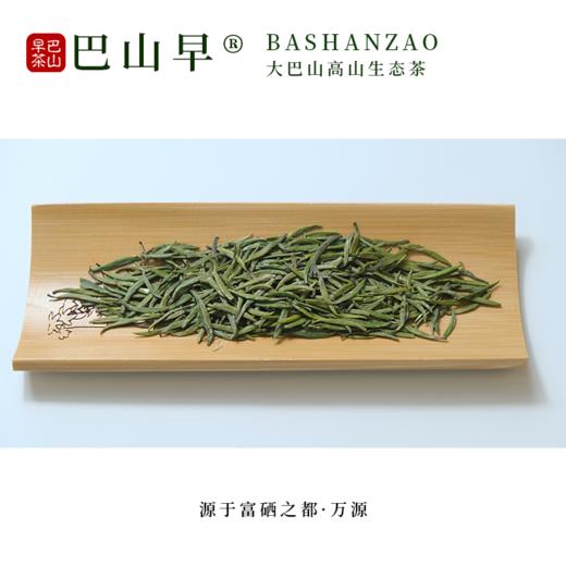 雀舌绿茶 精选雀舌 巴山早雀舌 高山生态绿茶150g袋装 商品图4