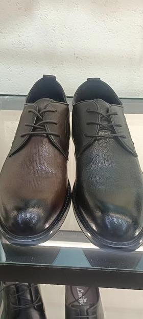 鳄鱼世家正装72173