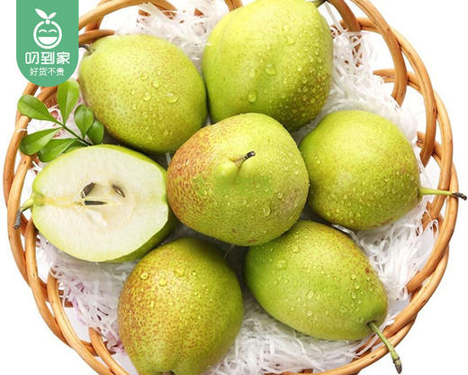 新疆库尔勒香梨（大果）/1份（1.5kg±50g）补单专用 商品图4
