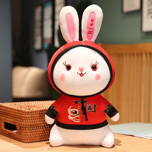 兔年吉祥物国潮兔子公仔毛绒玩具生肖兔玩偶儿童安抚娃娃活动礼品 商品图0