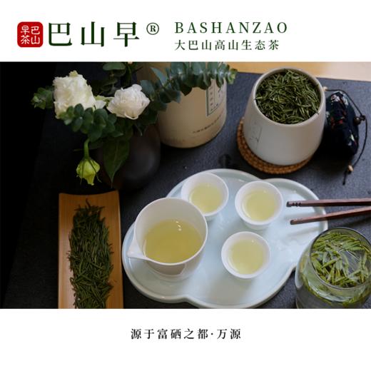 雀舌绿茶 精选雀舌 巴山早雀舌 高山生态绿茶150g袋装 商品图1