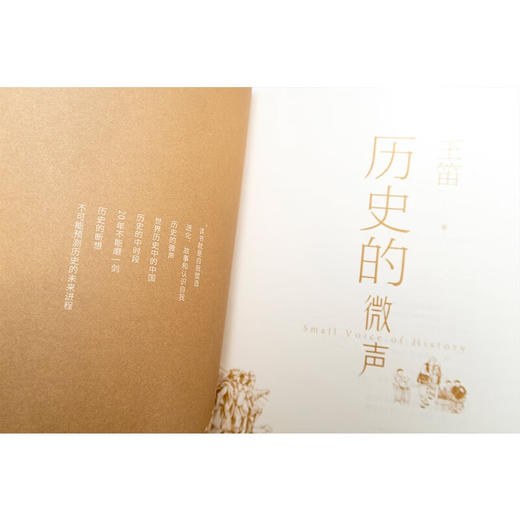 历史的微声 王笛 著 历史学家王笛近40年读史观察近代史 读书 民众史观 人类的历史，文明的发展 商品图4