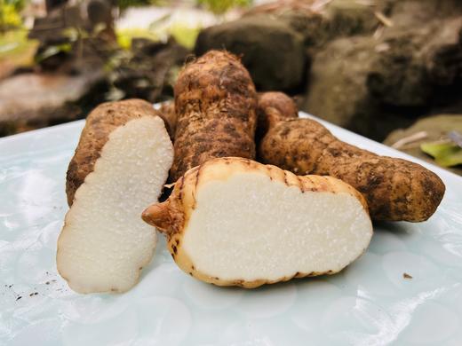 和菜头 云南小草坝新鲜天麻 一盒装2000克装（内含两袋，每袋1000克） 商品图9