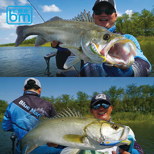 蓝旗鱼新品诡道软尾VIB 5.2CM 12.5克远投沉水全泳层翘嘴路亚饵假 商品图1