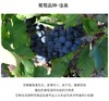 【中欧班列直供】法国芮贝特勃艮第法定产区葡萄酒 750ml/瓶  原装进口 商品缩略图5