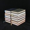 【图书盲盒】苍鹭出版社（HeronBooks）六七十年代复古烫金压花仿皮精装书随机发 商品缩略图12