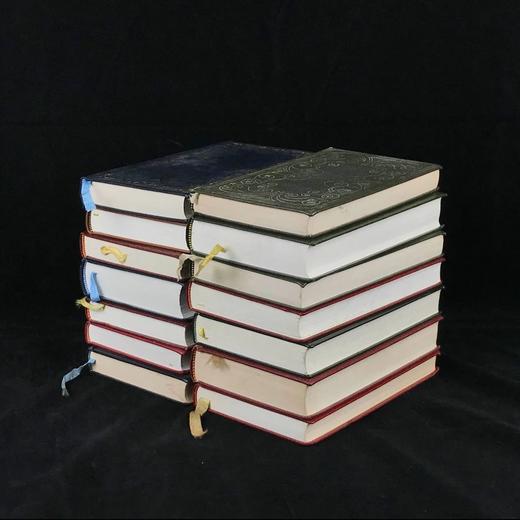 【图书盲盒】苍鹭出版社（HeronBooks）六七十年代复古烫金压花仿皮精装书随机发 商品图12