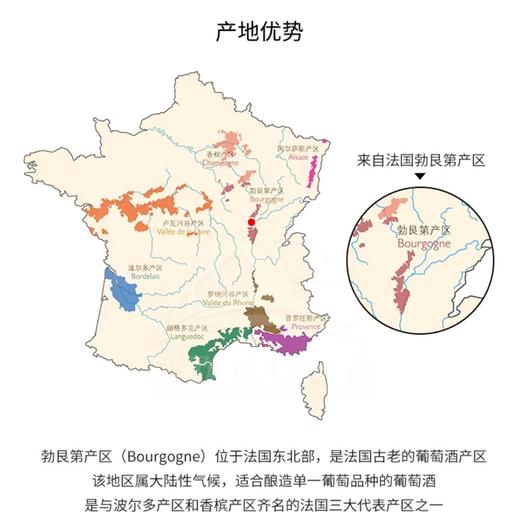 【中欧班列直供】法国芮贝特勃艮第法定产区葡萄酒 750ml/瓶  原装进口 商品图4