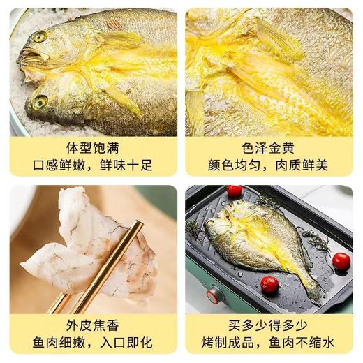 盐烤大黄鱼 | 无需调味 2分钟开吃 配料只有黄鱼和盐 产自大黄鱼之都 肉多刺少 饱满鲜嫩 商品图6