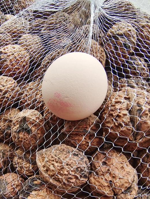 2025年新上市云南大理漾濞 紫芯琥珀色核桃 5斤装 商品图4