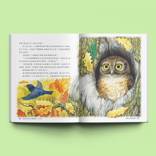 《大自然里的故事》：《原始针叶林里的鸟》《老树上的猫头鹰》《海边的森林猫》（共3册） 商品图3