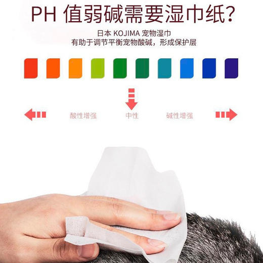 日本kojima宠物湿巾猫狗专用免洗清洁除臭擦泪痕杀菌湿纸巾80抽*4包 商品图2