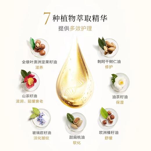 欧树多效滋养干爽护理油小金油面部修护身体护理护发精华油100ml 商品图1