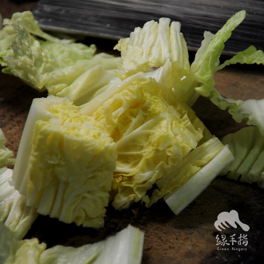 生态山西大白菜 | 合作生产 *Eco- Chinese cabbage | Partner Production 商品图2