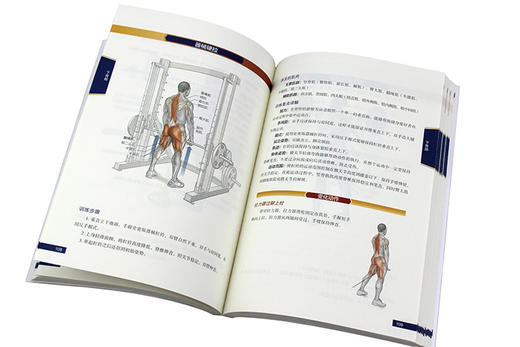 (仓发) 健美健身运动系统训练（全彩图解第2版）(人邮体育出品)/人民邮电出版社/[美]尼克·伊万斯（Nick Evans）/9787115420077 商品图5