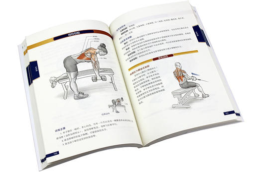 (仓发) 健美健身运动系统训练（全彩图解第2版）(人邮体育出品)/人民邮电出版社/[美]尼克·伊万斯（Nick Evans）/9787115420077 商品图4