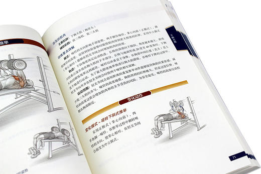 (仓发) 健美健身运动系统训练（全彩图解第2版）(人邮体育出品)/人民邮电出版社/[美]尼克·伊万斯（Nick Evans）/9787115420077 商品图6