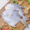 白鲳鱼（特大）| 深海野生海钓海鲜 商品缩略图0