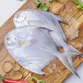 白鲳鱼（特大）| 深海野生海钓海鲜