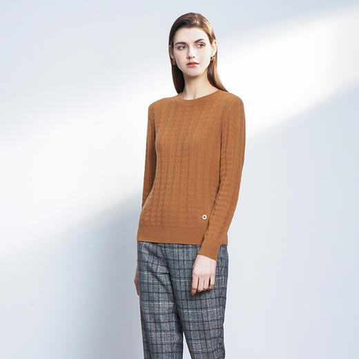 【半价款圆领绞花羊绒衫】羊绒世家秋冬新品100%山羊绒套头百搭针织打底衫 商品图0