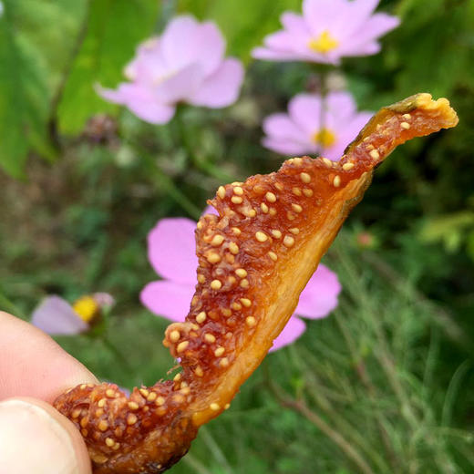 包邮【厂商直发】有机无花果干四川特产阆优果自然无尘烘干原味即食零食 商品图6