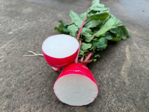 酵素藕、口感爽脆，藕粉，无农化不泡药 每周日发货  || 明月 商品图8