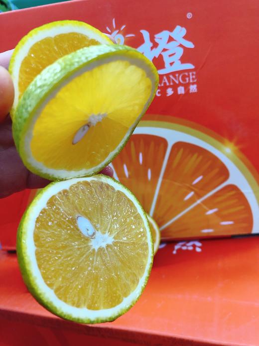 阳光橙一袋（拼团） 商品图5
