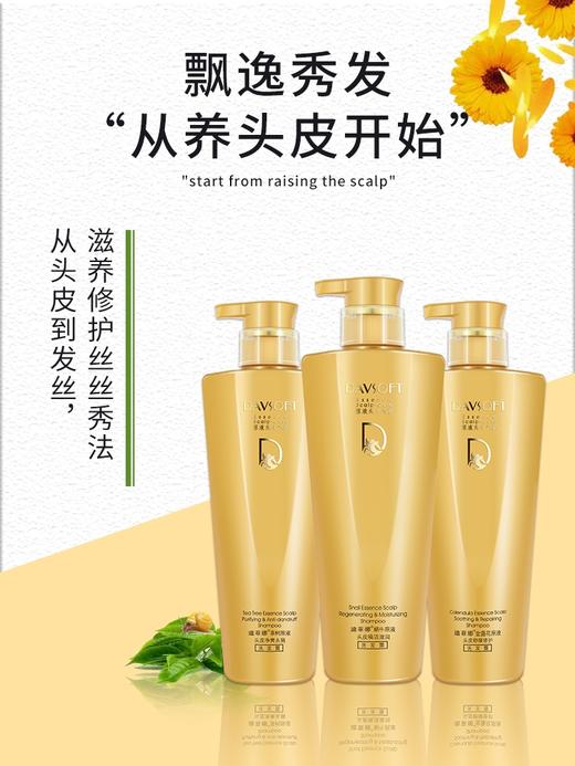 迪菲娜原液洗发露680ml 商品图1