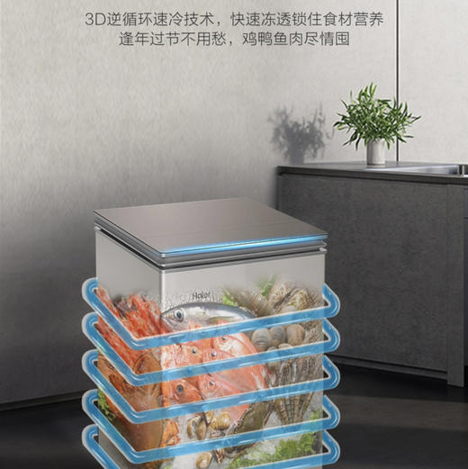 海尔（Haier）冰柜 BC/BD-100HER 商品图2